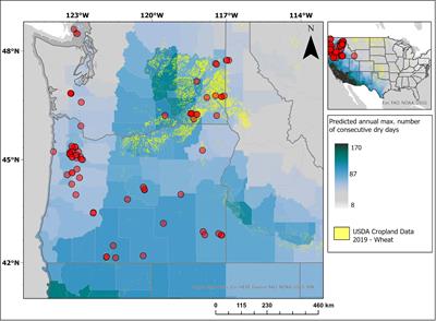 Addressing the effects of soil organic carbon on water retention in US Pacific Northwest wheat–soil systems